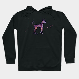 Brindle Hound in Purple & Orange Hoodie